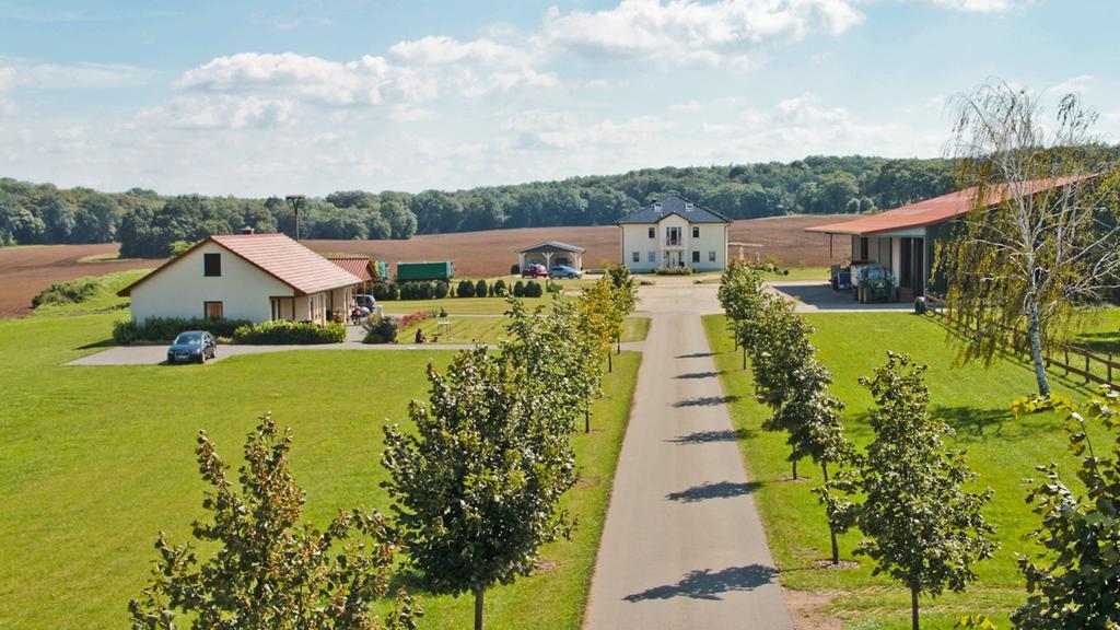Ferienwohnung Hof Maiweg Alt Schonau Exterior foto